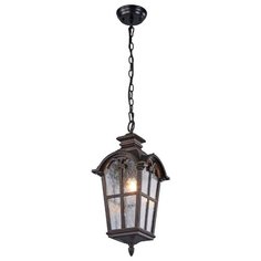 Уличный подвесной светильник Favourite Bristol 2036-1P