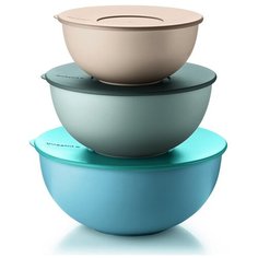 Набор из 3 контейнеров everywhere Guzzini