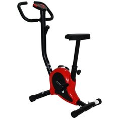 Вертикальный велотренажер DFC B209 красный/черный