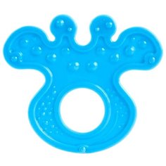 Прорезыватель Canpol Babies Flexible teether 13/119 голубое растение
