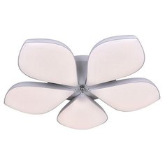 Потолочная люстра Escada 10235 10235/5LED (85W)