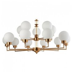 Подвесная люстра Favourite Newfangled 2670-15P