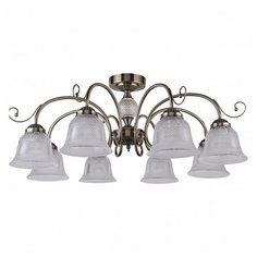 Люстра на штанге F-promo Vetus 2194-8U