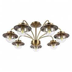 Потолочная люстра EVOLUCE Garonni SLE110102-07