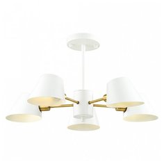 Люстра на штанге Lumion Kenia 4465/5C