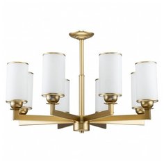 Подвесная люстра Favourite Sollemnis 2621-8P