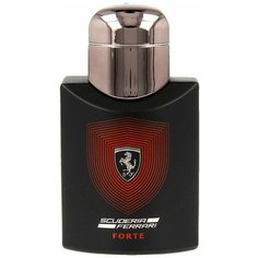 Парфюмерная вода Ferrari Scuderia Ferrari Forte, 125 мл