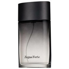 Туалетная вода Ermenegildo Zegna Zegna Forte, 50 мл