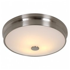 Накладной светильник Favourite Pannikin 2691-3C