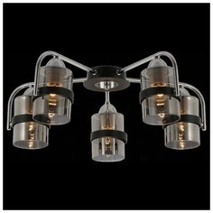 Потолочная люстра EVOLUCE Fiumo SLE102002-05