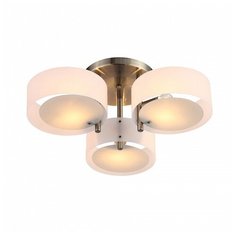 Потолочная люстра EVOLUCE Foresta SL483.352.03