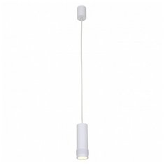 Подвесной светильник Favourite Kinescope 2453-1P