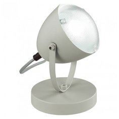 Настольная лампа декоративная Lumion Belko 3669/1T