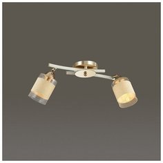 Спот Lumion Filla 3029/2CA