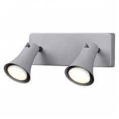 Спот Odeon Light Reanna 3825/2W