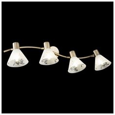 Спот Freya Paola FR7001WL-04BZ