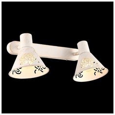 Спот Arte Lamp Cono A5218AP-2WG