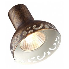 Спот Arte Lamp Focus A5219AP-2BR