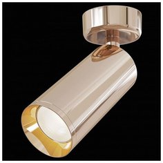 Спот Maytoni Focus C017CW-01RG