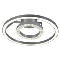 Накладной светильник Favourite Sanori 2593-2U