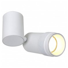 Спот Favourite Kinescope 2453-1U