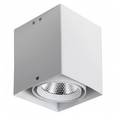 Накладной светильник Favourite Flashled 1986-1U