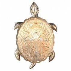 Накладной светильник Favourite Turtle 2256-1W