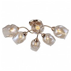 Потолочная люстра F-promo Bento 2190-6U