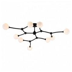 Потолочная люстра Favourite Suri 2688-9P