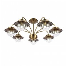 Потолочная люстра EVOLUCE Garonni SLE110102-07