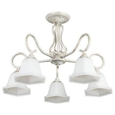 Люстра на штанге Arte Lamp Merry A2714PL-5WG