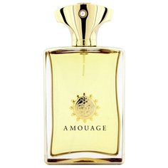 Парфюмерная вода Amouage Gold Man, 100 мл