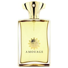 Парфюмерная вода Amouage Gold Man, 100 мл