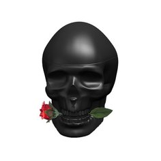 Туалетная вода Ed Hardy Skulls & Roses for Him, 75 мл