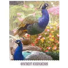 Фотообои флизелиновые Топ Фотообои Арка в сад с водопадом и павлинами 200х270 (ШхВ) темно-бежевый/светло-зеленый/розово-коричневый/светло-розовый/белый