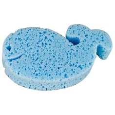 Губка Canpol Babies Зверюшки (43/104) голубой