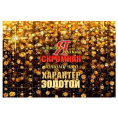 Магнитный пазл Характер золотой Drabs