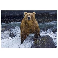 Магнитный пазл Медведь на водопаде Drabs
