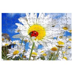 Магнитный пазл Ромашки и божья коровка Drabs