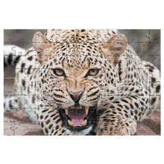 Магнитный пазл Леопард Drabs