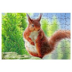 Магнитный пазл Рыжая белка Drabs