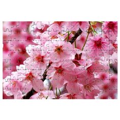 Магнитный пазл Сакура Drabs