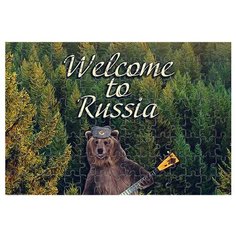 Магнитный пазл Медведь с балалайкой Drabs