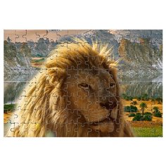 Магнитный пазл Гордый лев Drabs