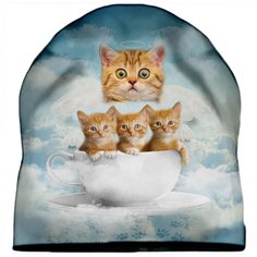 Шапка мужская Котята в чашке Drabs