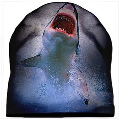 Шапка мужская Акула с открытой пастью Drabs
