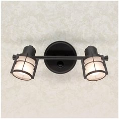 Спот Citilux Реймс CL563521