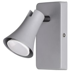 Спот REANNA 3825/1W Odeon Light