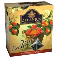 Чай черный Zylanica Fruit exotica с клубникой, киви и сафлором в пирамидках, 20 шт.
