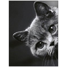 Алмазная мозаика Алмазная Фея A-0288. Ку - ку